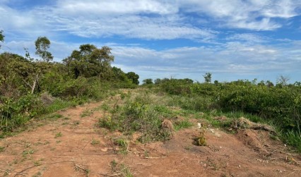 Lotes Nova Suiça, Divinópolis- Mg