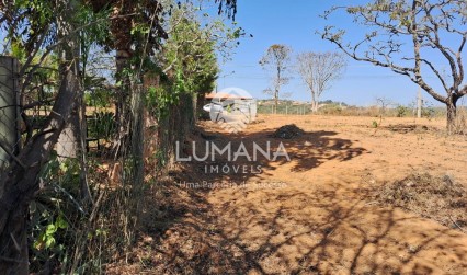 Lote