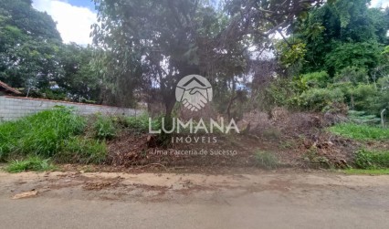 Lote 1.028 M²