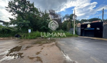 Lote área Central