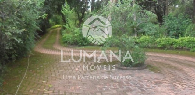 ÁREA  COM CASA NA VÁRZEA