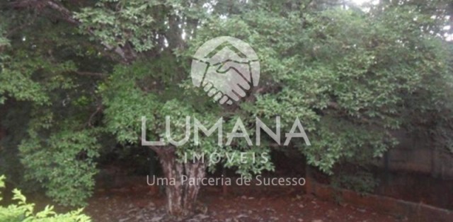 ÁREA  COM CASA NA VÁRZEA