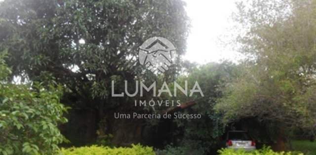 ÁREA  COM CASA NA VÁRZEA