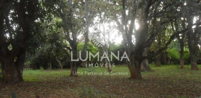 ÁREA  COM CASA NA VÁRZEA