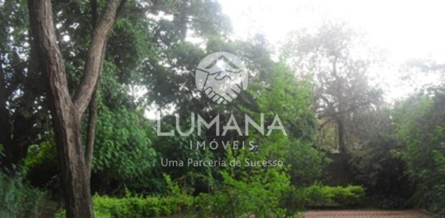 ÁREA  COM CASA NA VÁRZEA