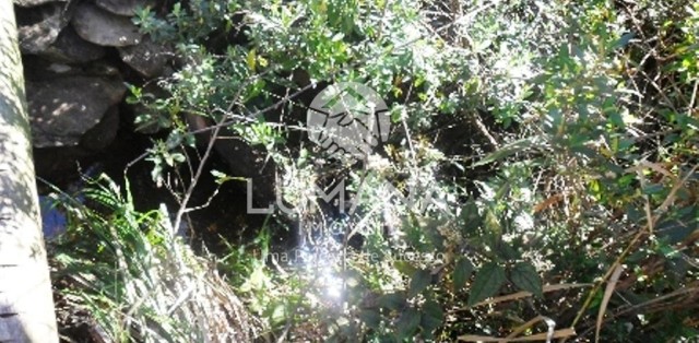 ÁREA NA SERRA DO CIPÓ