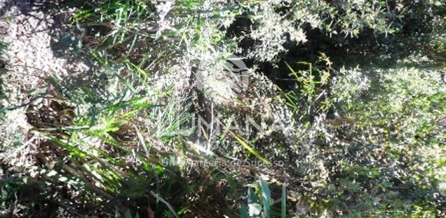 ÁREA NA SERRA DO CIPÓ