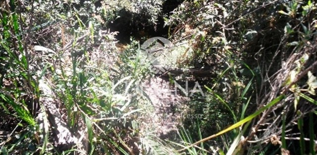 ÁREA NA SERRA DO CIPÓ