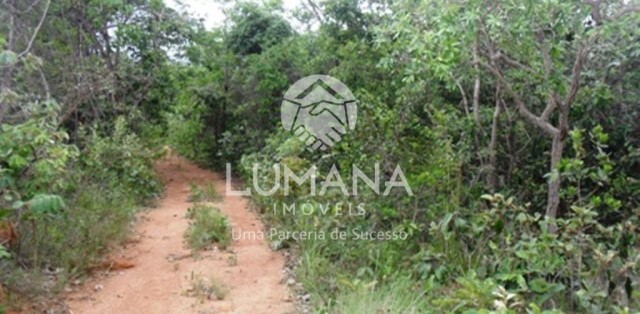 ÁREA -  VILA ALMEIDA