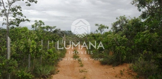 ÁREA -  VILA ALMEIDA