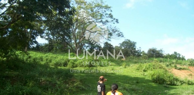 FAZENDA- BRUMADINHO