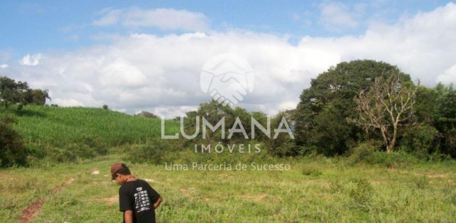 FAZENDA- BRUMADINHO