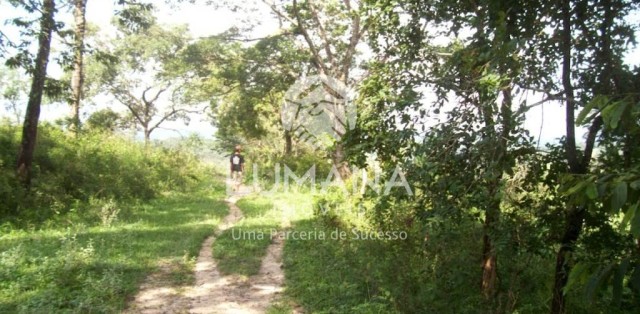 FAZENDA- BRUMADINHO