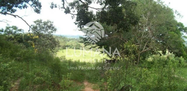 FAZENDA- BRUMADINHO
