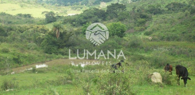 FAZENDA- BRUMADINHO