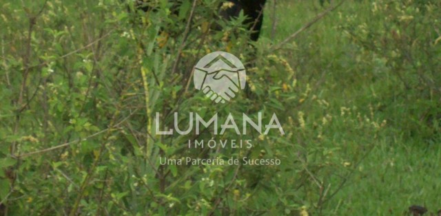FAZENDA- BRUMADINHO