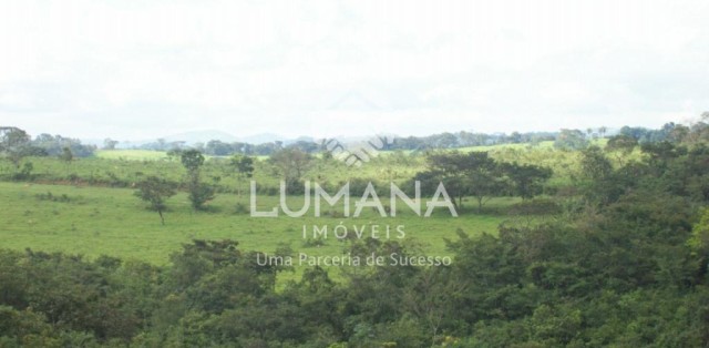 FAZENDA- BRUMADINHO
