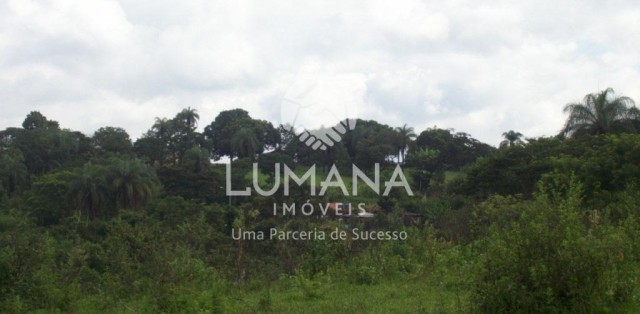 FAZENDA- BRUMADINHO