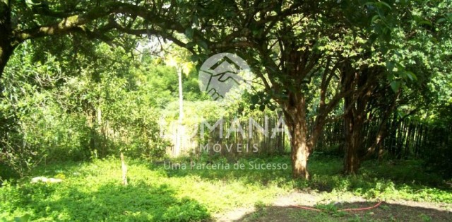 FAZENDA- BRUMADINHO