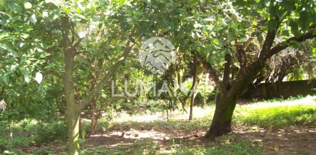 FAZENDA- BRUMADINHO