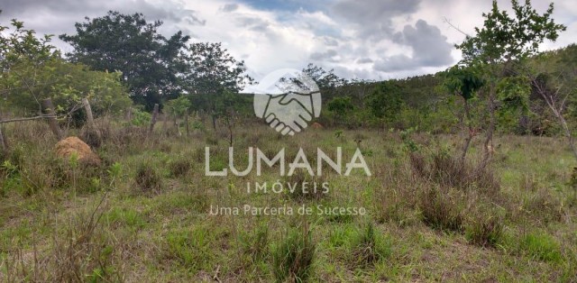 FAZENDA EM CURVELO