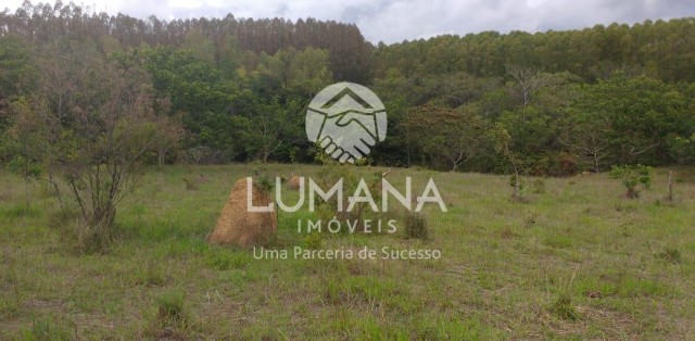 FAZENDA EM CURVELO