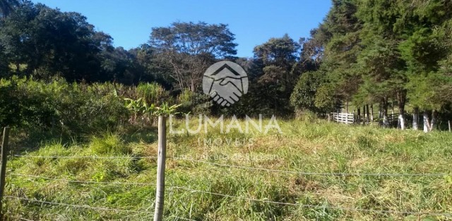 FAZENDA EM CAETÉ