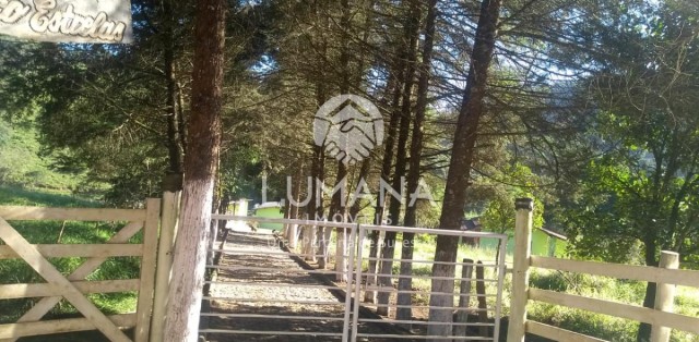 FAZENDA EM CAETÉ