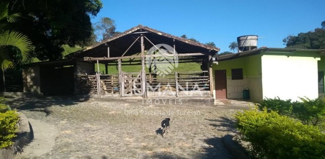 FAZENDA EM CAETÉ