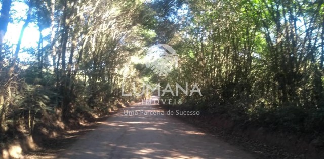 FAZENDA EM CAETÉ