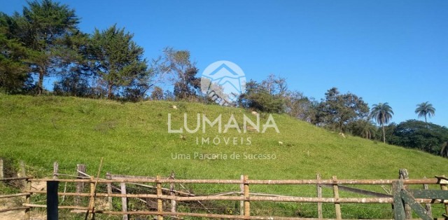 FAZENDA EM CAETÉ