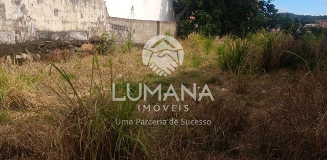 LOTE COMERCIAL