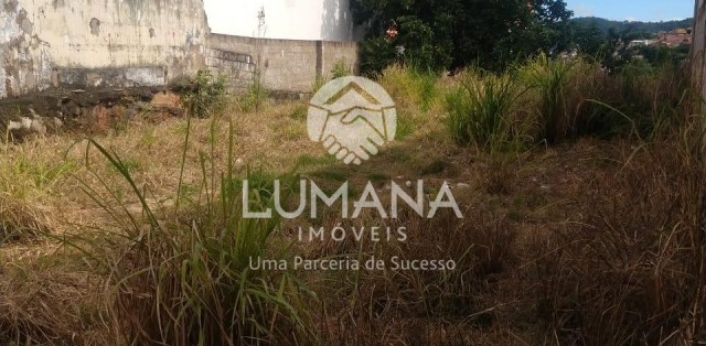 LOTE COMERCIAL