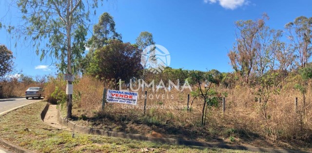 ÁREA COMERCIAL EM CAETANÓPOLIS
