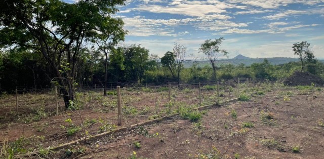 Lotes Nova Suiça, Divinópolis- MG