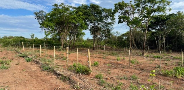 Lotes Nova Suiça, Divinópolis- MG