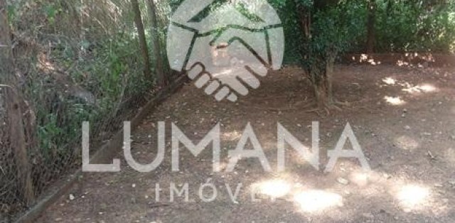 LOTE COMERCIAL 
