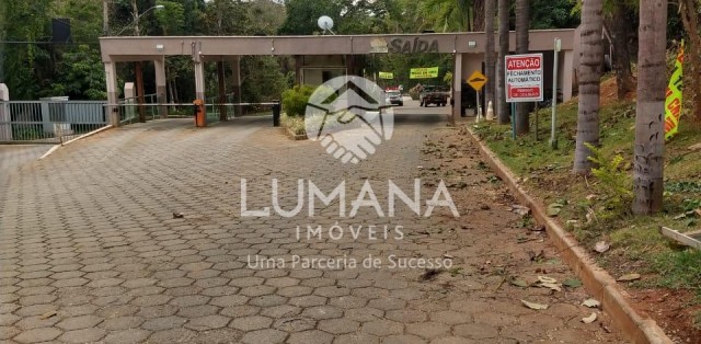 Lote