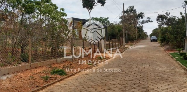 Lote