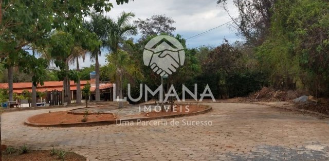 Lote