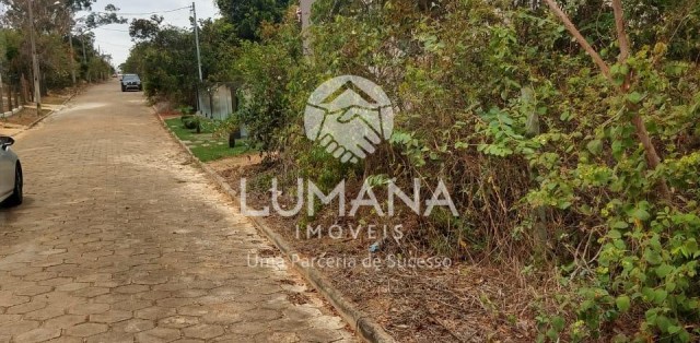 Lote