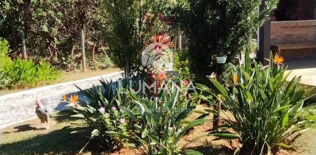 SÍTIO ALDEIA DA JAGUARA 