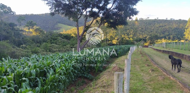 FAZENDA  ENTRE RIOS DE MINAS