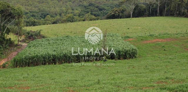 Fazenda Itaguara