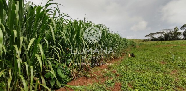 Fazenda Itaguara
