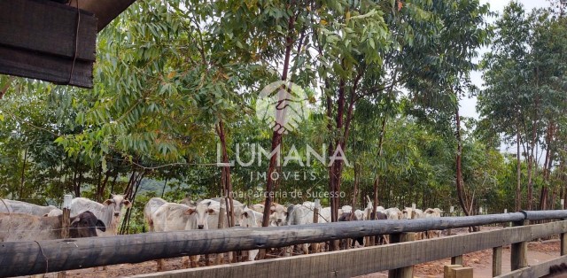 Fazenda Itaguara