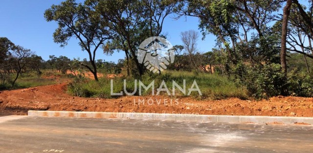 Lote Comercial/Residencial