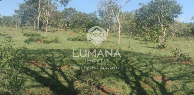 Área/ Sessenta e três hectares