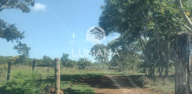 Área/ Sessenta e três hectares