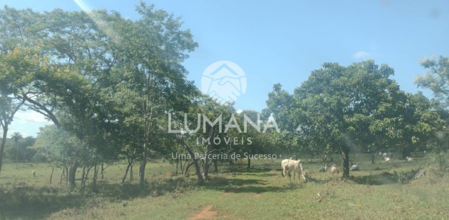 Área/ Sessenta e três hectares